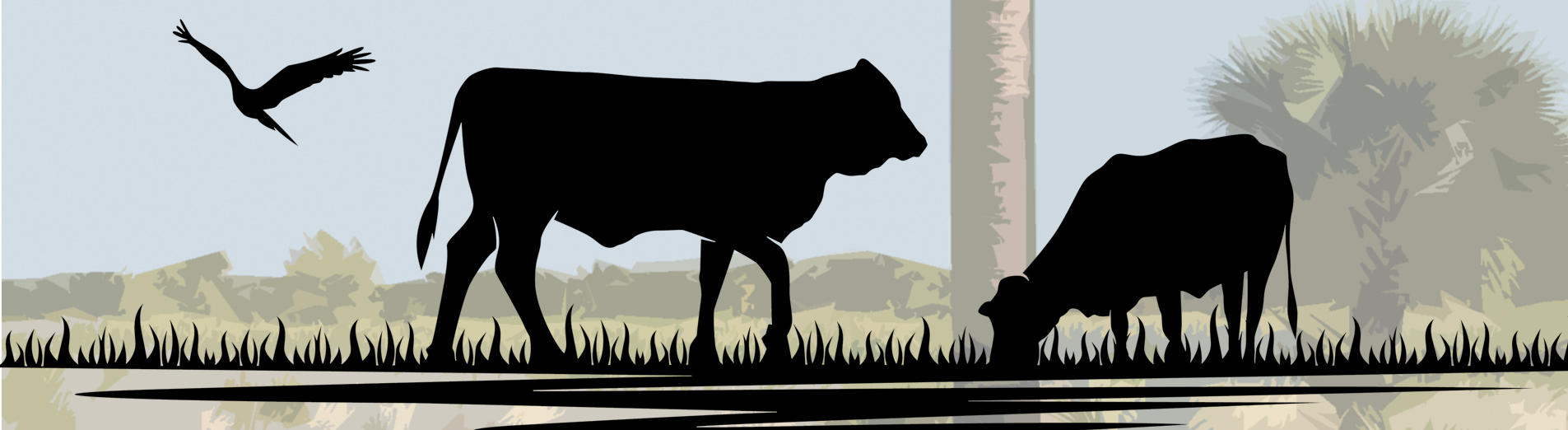 A Land Remembered: The Great Florida Cattle Drive